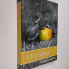 Sirkka Santapukki : Oivallus (signeerattu) - pikkukuva 1