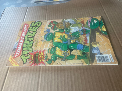 TURTLES 8/1991