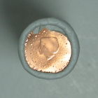 2004 HOLLANTI 2c rulla UNC laatu - pikkukuva 1