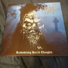 Sadistic Intent - reawakening horrid thoughts (LP) - pikkukuva 1