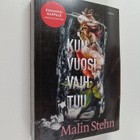 Malin Stehn : Kun vuosi vaihtuu (ennakkokappale) - pikkukuva 1