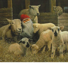 kortti ** Lammas - erilaisia taidekortteja - pikkukuva 2