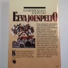 Eeva Joenpelto : Kaakerholman kaupunki - pikkukuva 2