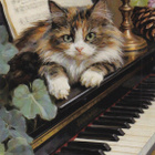 Kissa kortti - pikkukuva 1