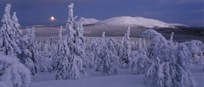 Aamukajo Pallastunturilla  (panoraamakortti)