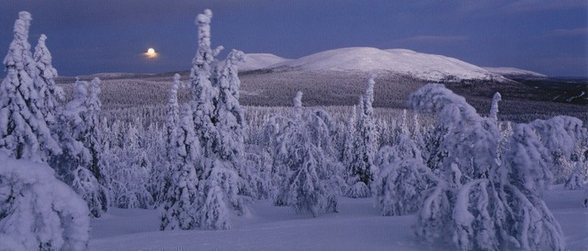 Aamukajo Pallastunturilla  (panoraamakortti)