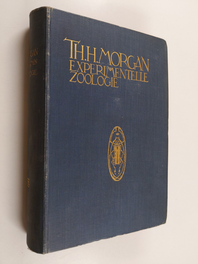 Thomas Hunt Morgan : Experimentelle Zoologie