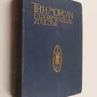 Thomas Hunt Morgan : Experimentelle Zoologie - pikkukuva 1