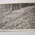 VANHA Postikortti Tammisaari 1930-luku - pikkukuva 1