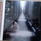 Mark Knopfler - Ragpicker's dream CD - pikkukuva 3