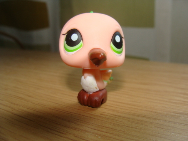LITTLEST PET SHOP persikka KOLIBRI, LINTU #343