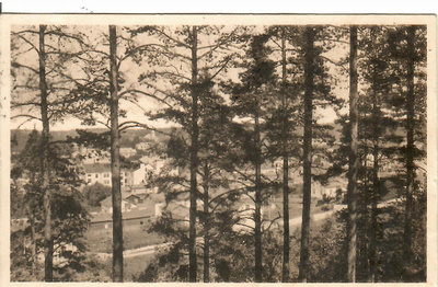 LAHTI SELÄNMÄELTÄ KULKENUT KULKENUT 1919