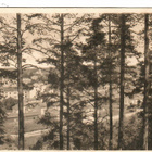 LAHTI SELÄNMÄELTÄ KULKENUT KULKENUT 1919 - pikkukuva 1