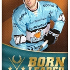 PELICANS Blueline/Cardset/Sisu ErikoisKortteja alk.0,25€/kpl - pikkukuva 2