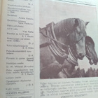 Pellervo N:o 9 toukokuu 1943 - pikkukuva 3