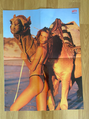 Elle Macpherson juliste