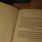 Margaret Atwood: Orjattaresi, pokkari - pikkukuva 4