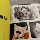 Cat selfies Charlie Ellis - pikkukuva 5