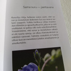 Surun sillalla - pikkukuva 2