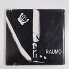 Erkki ym. Saarinen : Rauma - pikkukuva 2