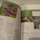 PUUTARHAN VESIAIHEET Suunnittelu, Rakentaminen, Kasvit - pikkukuva 3