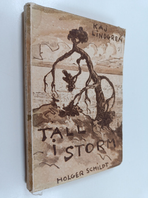 Tall i Storm - Dikter