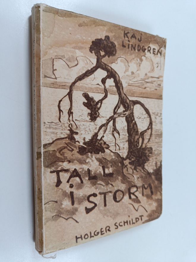 Tall i Storm - Dikter