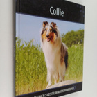 Collie - pikkukuva 1