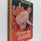 Enid Blyton : Palaneen talon salaisuus - pikkukuva 1