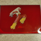 Pokemon Ex Master trainer Blaziken tyhjä pakka - pikkukuva 1