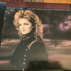 BONNIE TYLER - Secret Dream And Forbidden Fire - pikkukuva 1