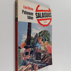 Enid Blyton : Palaneen talon salaisuus - pikkukuva 1