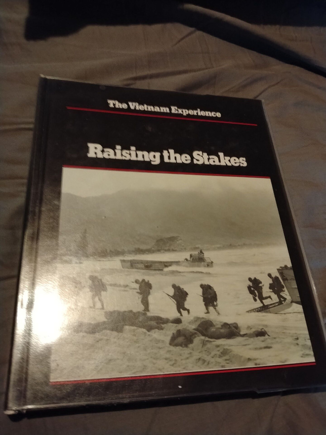 the vietnam experience raising the stakes