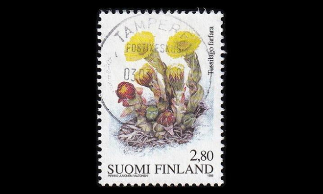 1426 o Leskenlehti (1998)