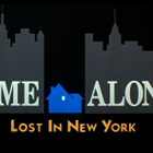 YKSIN KOTONA 2: EKSYNYT NEW YORKISSA dvd 1992 - pikkukuva 5