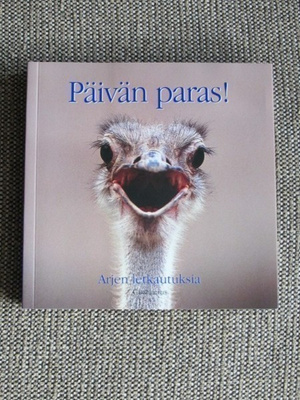 PÄIVÄN PARAS! - ARJEN LETKAUTUKSIA