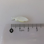 Nukkekoti, miniatyyri kala - pikkukuva 2