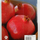 Terry Durack : 1001 foods : the greatest gastronomic sens... - pikkukuva 2