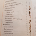 Hosia Vuokko Hulluna Sieniin Sieniherkkujen pikkujättiläinen - pikkukuva 2