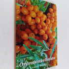 Pirkko Morikka : Oranssinkeltaista : runoja - pikkukuva 1