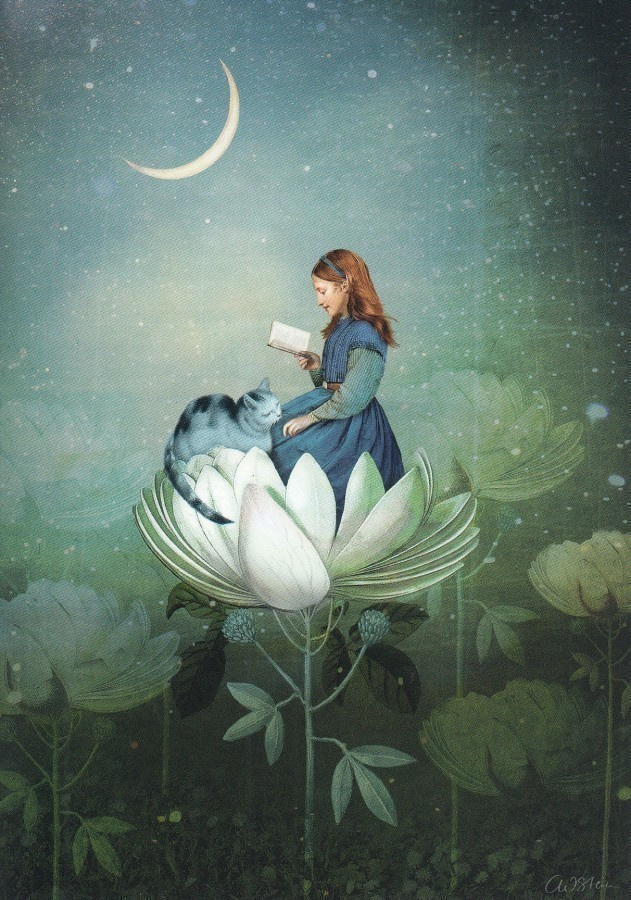Catrin Welz-Stein: Sinisiä tarinoita