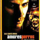 dvd, Amores Perros [jännitys, draama] - pikkukuva 1