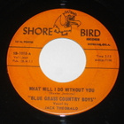 7" BLUE GRASS BOYS - I'm Hanging On - 1966 single country EX - pikkukuva 1