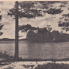 JÄMSÄKOSKI - KOLME KORTTIA - MV - pikkukuva 2