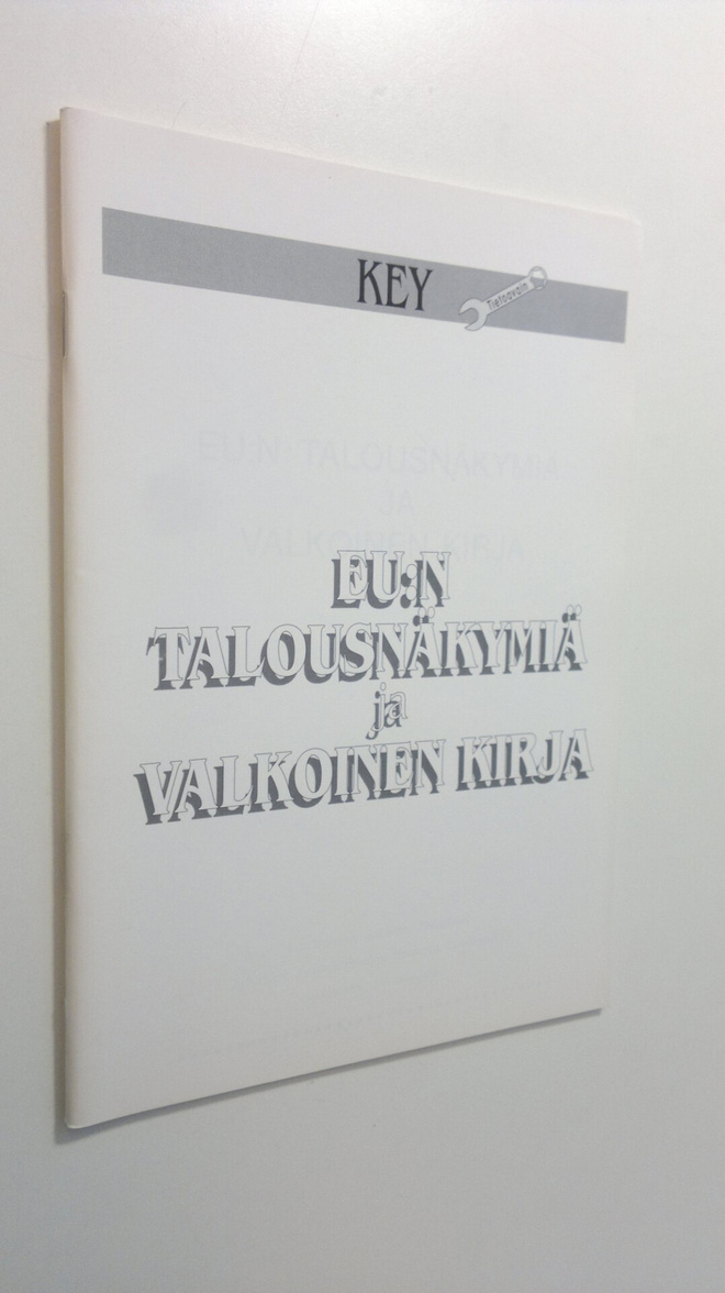 Johannes Pakaslahti : EU:n talousnäkymiä ja valkoinen kirja