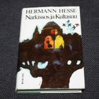 Hermann Hesse - Narkissos ja kultasuu - pikkukuva 2