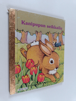 Betty Ren Wright : Kanipupun seikkailu