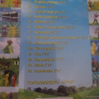 Teletapit : Albumi CD - pikkukuva 2