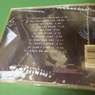 Q. STONE - NO SUBSTITUTE CD KAHDELLA NIMMARILLA - pikkukuva 3