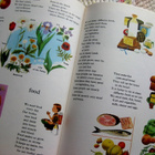 My First Dictionary in Colour Lasten kuvasanakirja - pikkukuva 2